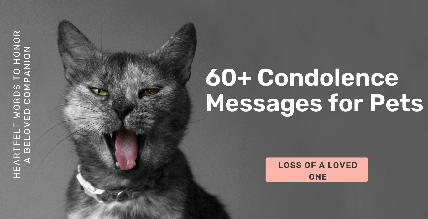 Condolence Messages for Pets